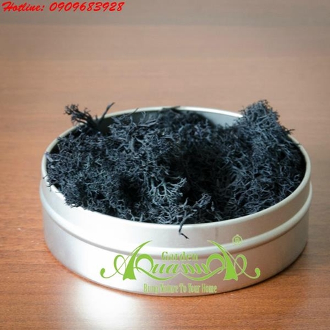 Rêu Tuần Lộc - AquaGarden