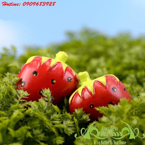 Dâu Tây - Phụ Kiện AquaGarden