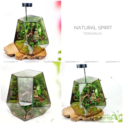 Terrarium 91 - Natural Spirit - Mindful Calling