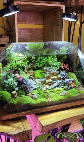 Terrarium 57 - Peaceful Garden