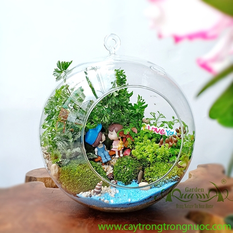 Terrarium 80 - Đông Xanh Có Anh