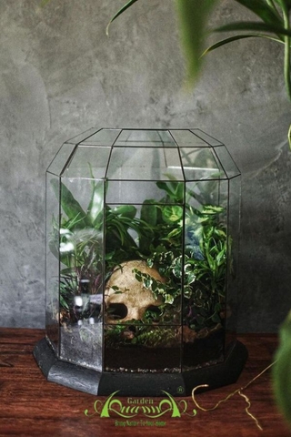 Terrarium 297 - Sementary of Love