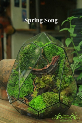 Terrarium 07 - Spring Song