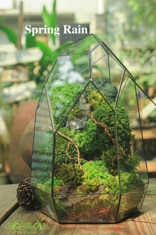 Terrarium 08 - Spring Rain