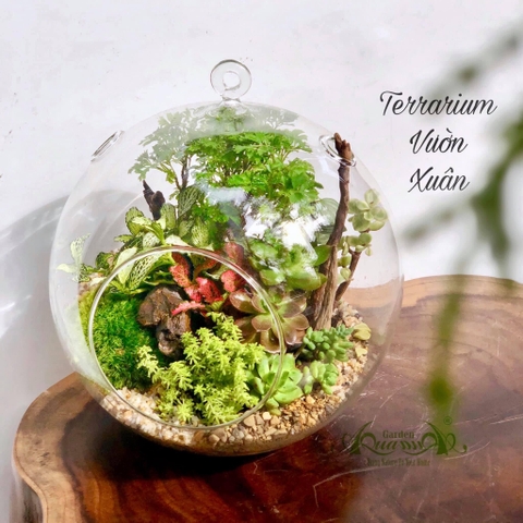 Terrarium 88 - Vườn Xuân