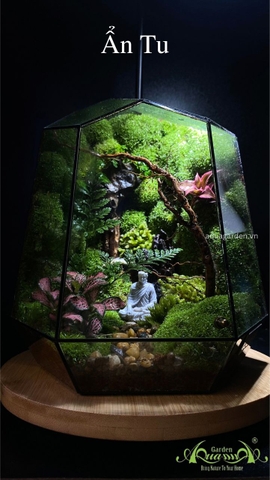 Terrarium 343 - Ẩn Tu