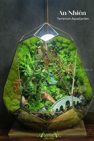 Terrarium 283 - An Nhiên