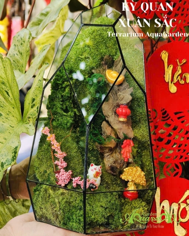 Terrarium 373 - Kỳ Quan Xuân Sắc