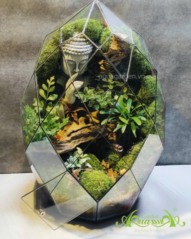 Terrarium 363 - Harmony in Reflection