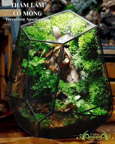 Terrarium 117 - Dream Of Nature