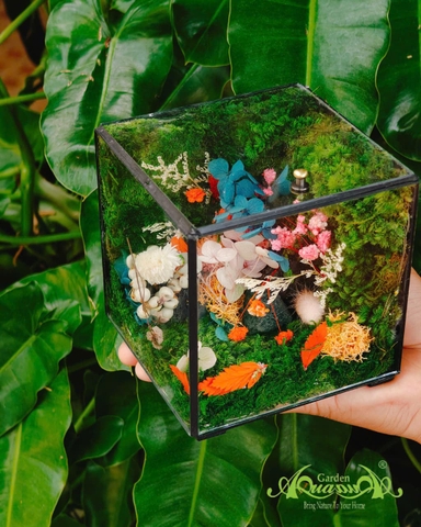 Terrarium 382 - The Moss Cabinet