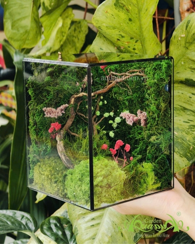 Terrarium 365 - Mossy Dreams