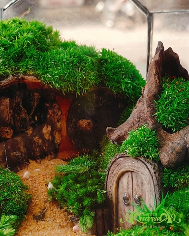 Terrarium 381 - Huyền Môn