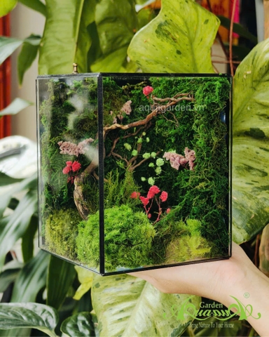 Terrarium 365 - Mossy Dreams