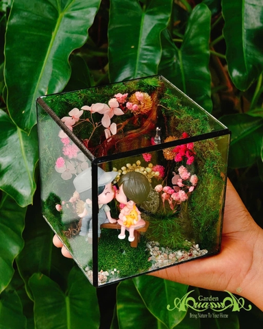 Terrarium 382 - The Moss Cabinet
