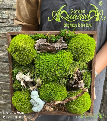 Terrarium 40 - tâm hoan hỉ, đời hoan ca