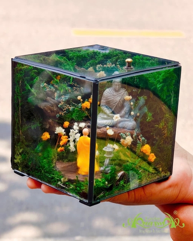 Terrarium 382 - The Moss Cabinet