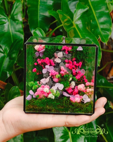Terrarium 382 - The Moss Cabinet