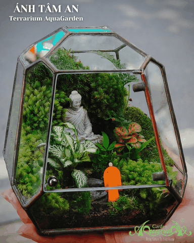 Terrarium 388 - Ánh Tâm An