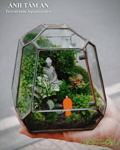 Terrarium 388 - Ánh Tâm An