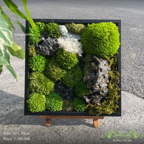 Terrarium 43 - vô vi