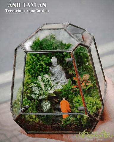 Terrarium 388 - Ánh Tâm An