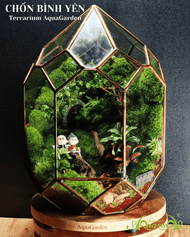 Terrarium 389 - Chốn Bình Yên