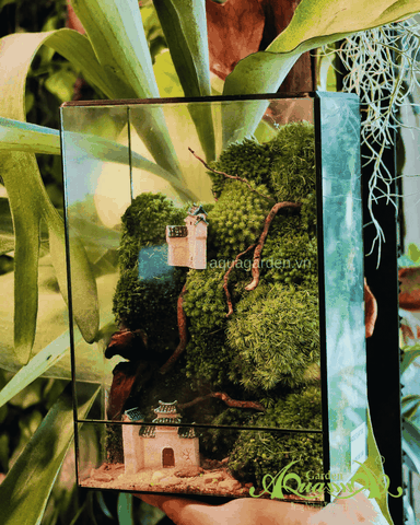 Terrarium 348 - The Mossy Skyscraper