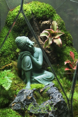 Terrarium 265 - Bình An