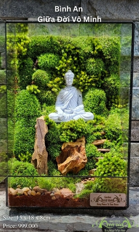 Terrarium 344 - Bình An Giữa Đời Vô Minh