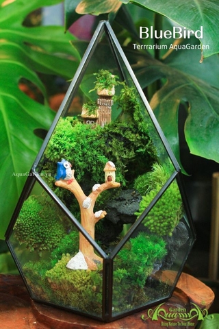 Terrarium 21 - BlueBird