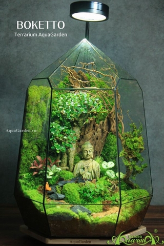 Terrarium 331 - BOKETTO