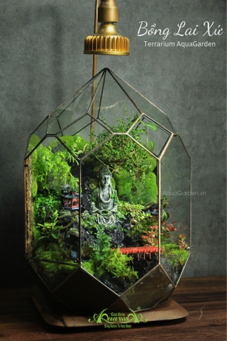 Terrarium 284 - Bồng Lai Xứ