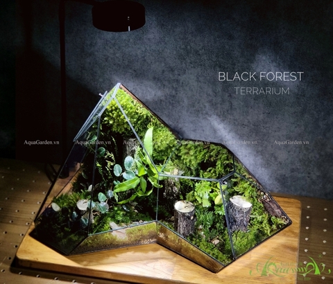 Terrarium 230 - Black Forest