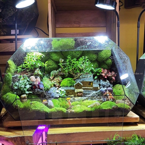Terrarium 57 - Peaceful Garden