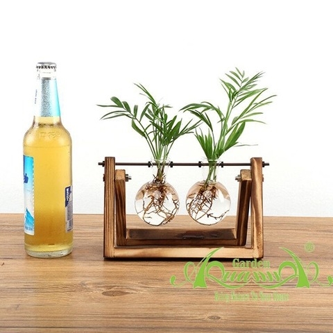 Cau Tiểu Trâm - Bộ kệ xích đu - Thủy canh Aquagarden