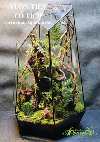 Terrarium 375 - Vườn Tiên Cổ Tích