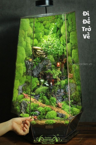 Terrarium 276 - Đi Để Trở Về