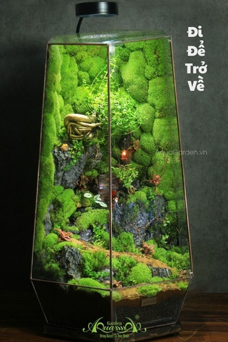 Terrarium 276 - Đi Để Trở Về