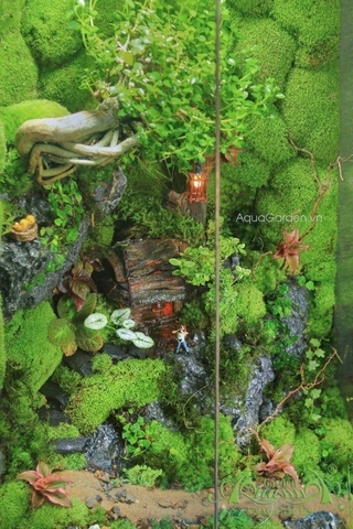 Terrarium 276 - Đi Để Trở Về