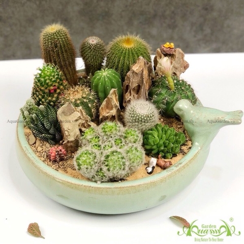 Tiểu Cảnh 02 - Ventomarme