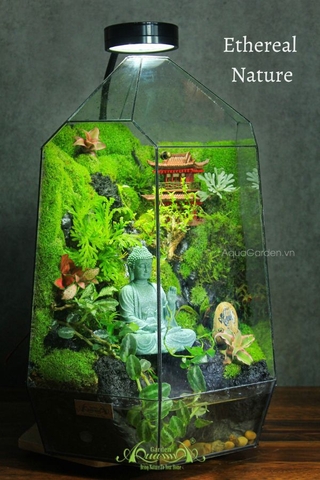 Terrarium 272 - Ethereal Nature