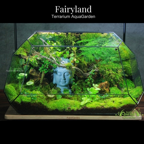Terrarium 319 - Fairyland