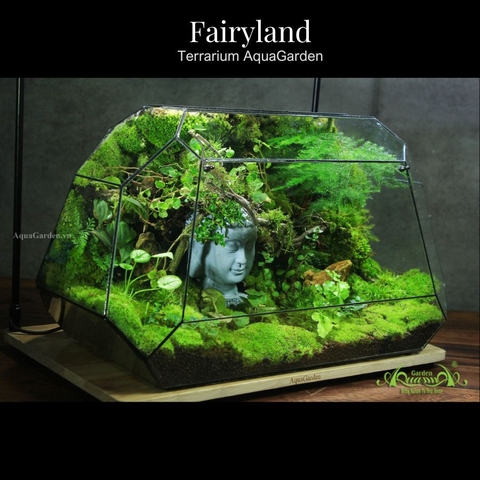 Terrarium 319 - Fairyland