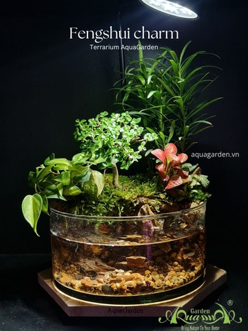 Terrarium 87 - Fengshui Charm