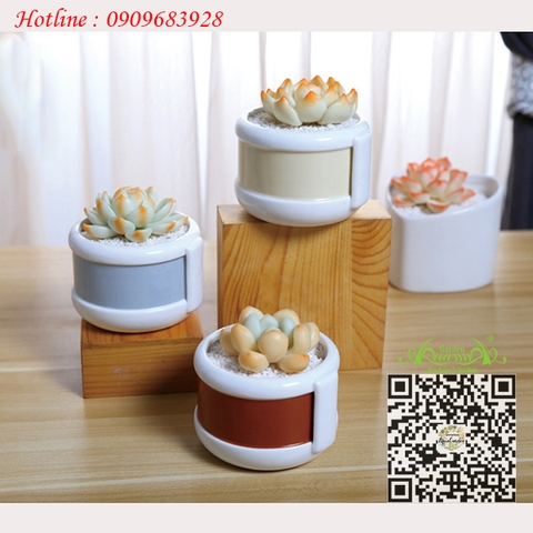 Gốm Cái Ca
