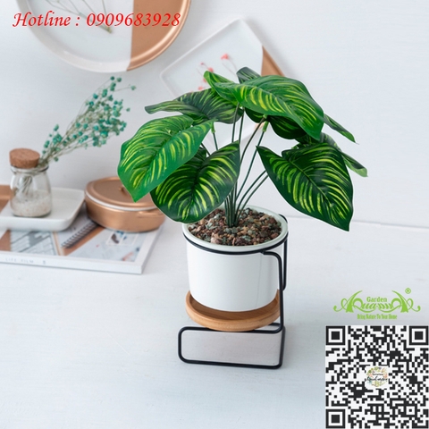 Gốm Khung Sắt Ghế Tựa