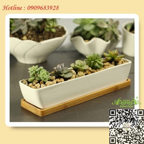 Gốm Thuyền Dài Đế Gỗ
