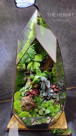 Terrarium 225 - The Hermit