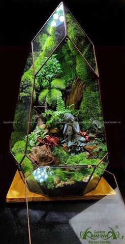 Terrarium 225 - The Hermit